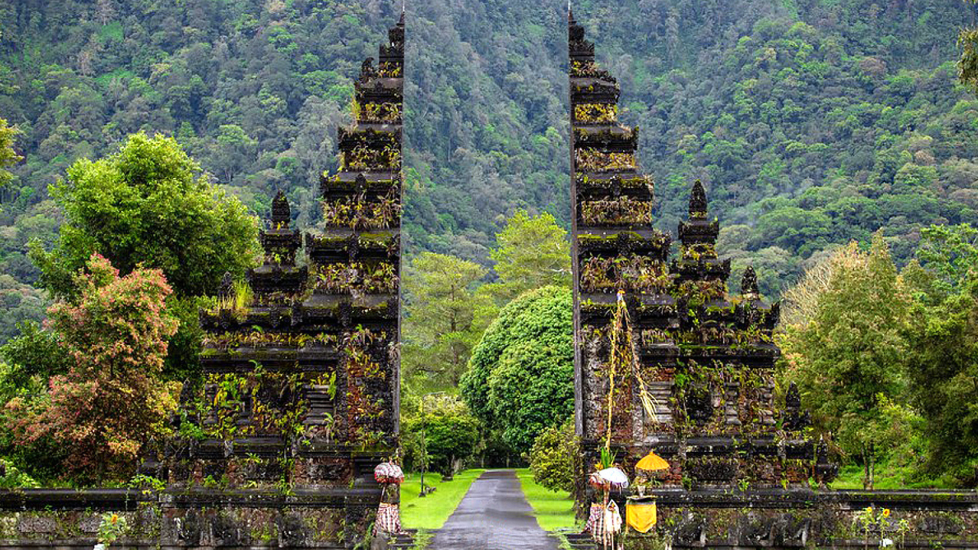 Desain tanpa judul (5)